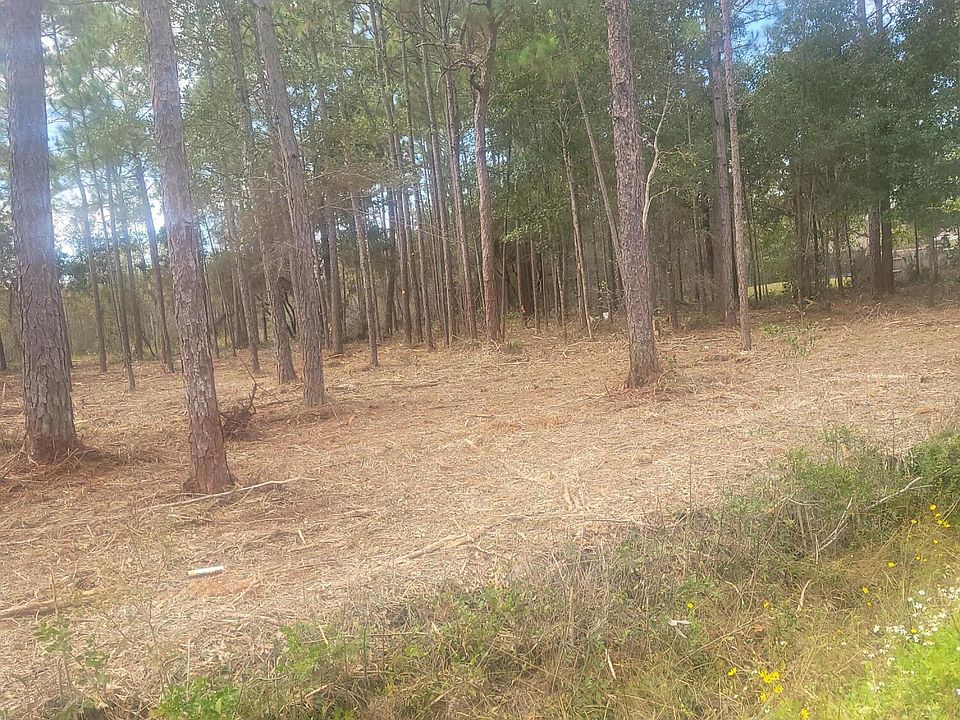 1st image of 2617 Black Gum Cir