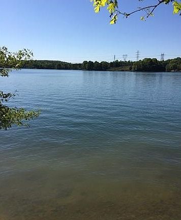 3rd image of 2701 Mount Isle Harbor Dr