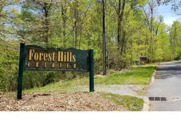 Town Road 25 Mountain Laurel Ct, Unicoi, TN 37692
