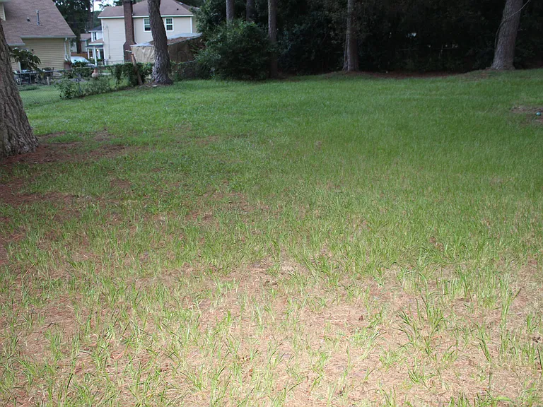 446 Pheasant Run Dr — Photo 8