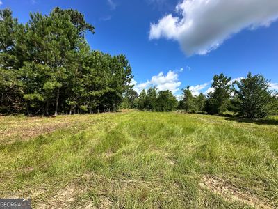 LOT 3 Rock Springs Rd, Dublin, GA, 31021