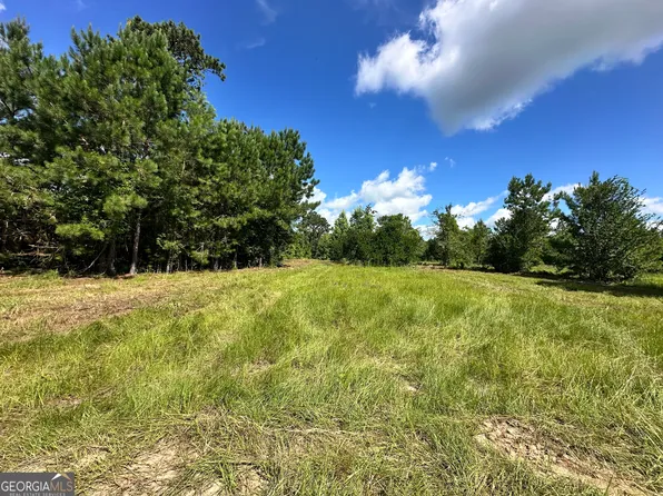 LOT 3 Rock Springs Rd, Dublin, GA 31021