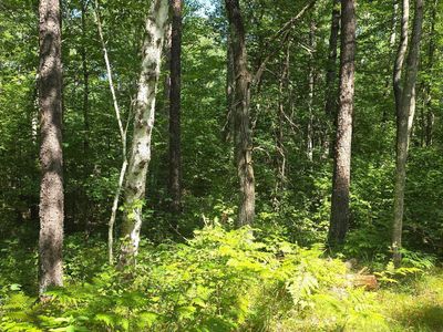 13 Hide Away Trl, Danbury, WI, 54830