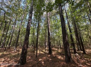 7 Forest Service Rd #562, Pulaski, MS 39152