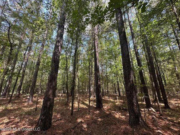 7 Forest Service Rd #562, Pulaski, MS 39152