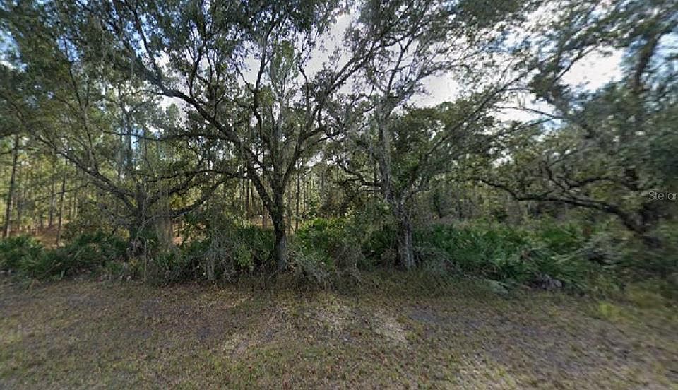 1st image of OLEANDER DRIVE LOT 12