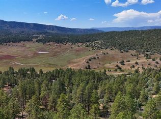 974 Westview Rd, Pagosa Springs, CO 81147