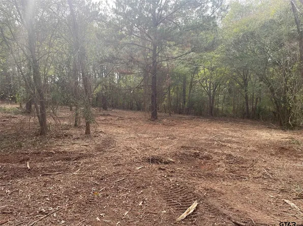 21817 County Road 2160, Troup, TX 75789