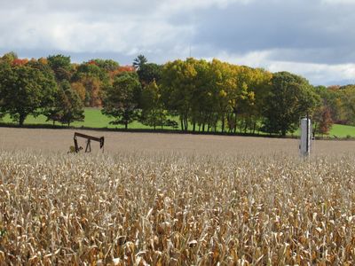 V/l 0 Briggs Rd, Stanton, MI, 48888