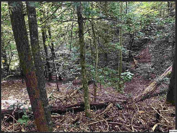 5th image of LOT Eleven Palmer Rd Lot 11