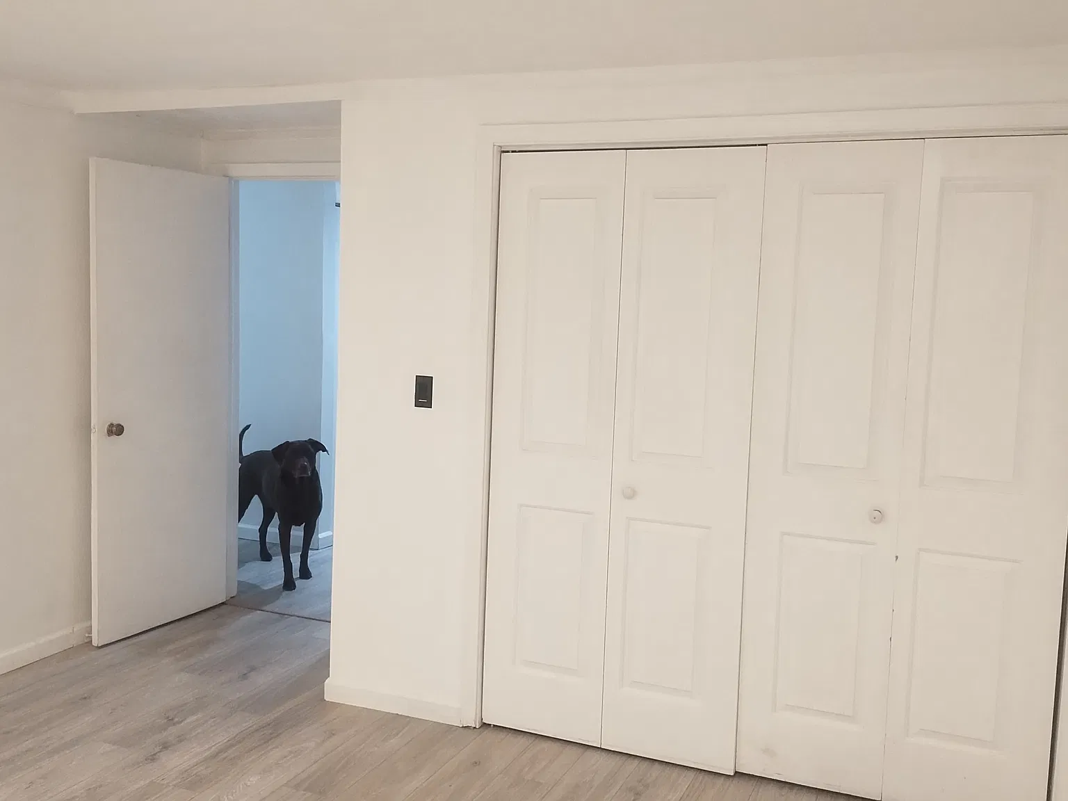 906 Harding Street NW — Photo 3