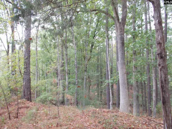 1788 Lake Rd, Ridgeway, SC 29130