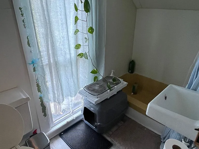 311 E Bishop St #313 — Photo 2