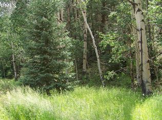 19 Princess Rd, Cripple Creek, CO 80813