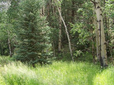 19 Princess Rd, Cripple Creek, CO, 80813