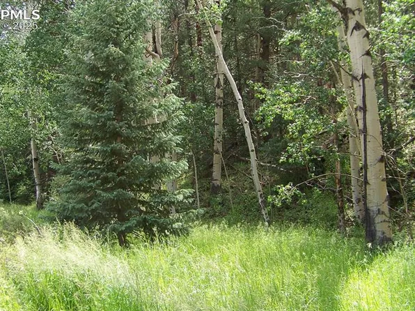 19 Princess Rd, Cripple Creek, CO 80813