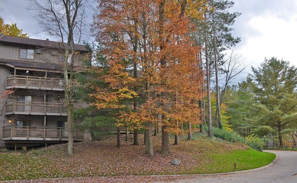 Pine Mill Ridge Apartments — Photo 1