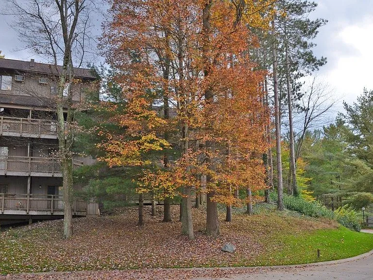 Pine Mill Ridge Apartments — Photo 1