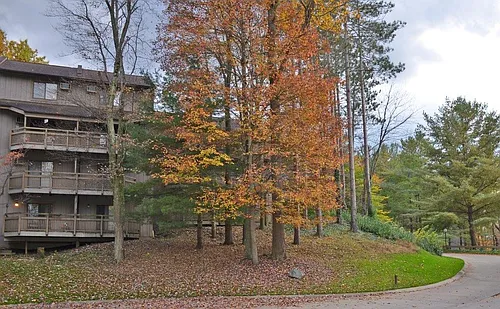 Pine Mill Ridge Apartments Photo 1