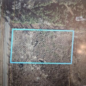 TBD Cane Branch Rd., Loris, SC, 29569