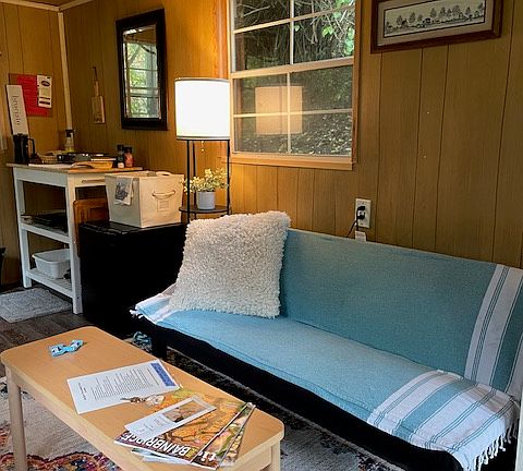 Small pull out couch.