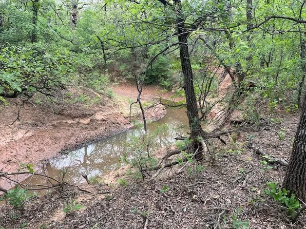 W 23 Hoffman Rd, Loving, TX 76460