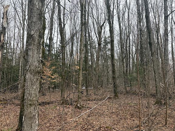 4th image of Unit Chaney Lake Rd #18