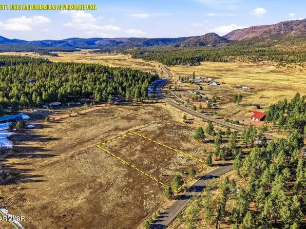 179 COUNTY ROAD 2266 -- #3, Alpine, AZ 85920