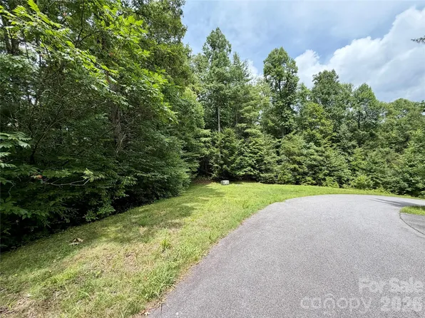 1156 Bear River Lodge Trl, Marshall, NC 28753