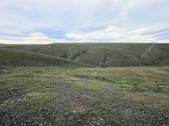 5th image of Taggart Pr SE
