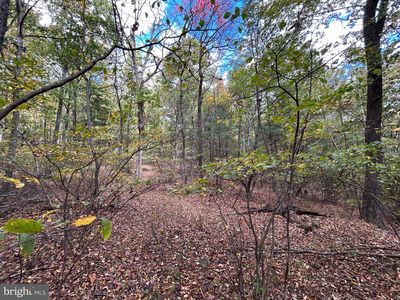 Supinlick Rdg, Mount Jackson, VA, 22842