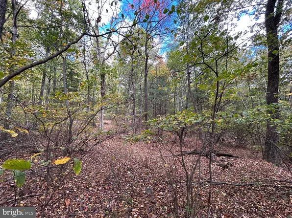 Supinlick Rdg, Mount Jackson, VA 22842