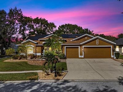 4508 Compass Oaks Dr, Valrico, FL, 33596