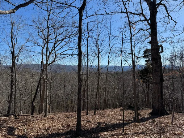 0 Indian Rock Rd, Buchanan, VA 24066