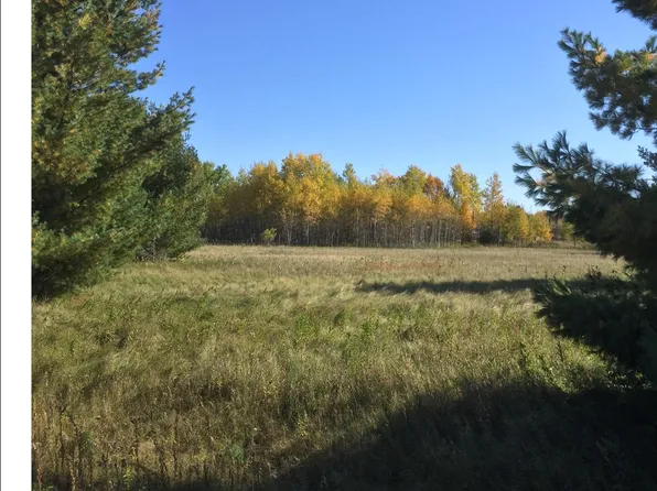 Tbd Portage Loop, Browerville, MN 56438