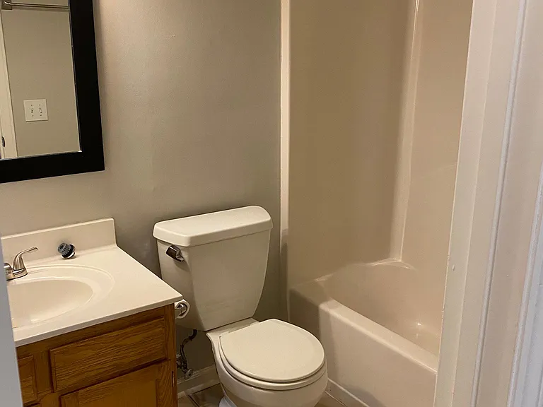 4-piece hall bathroom.