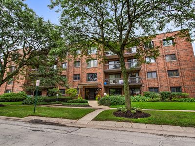 9221 Drake Ave APT 203, Evanston, IL, 60203