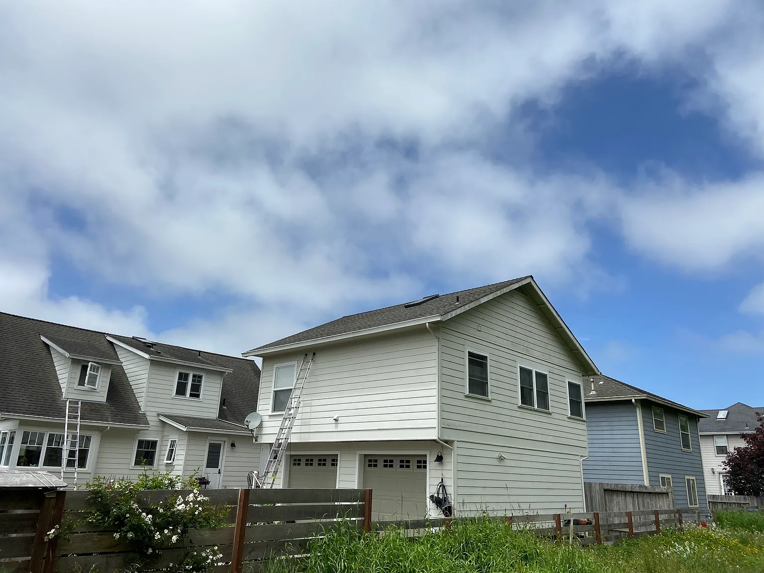 1 bed, 575 sqft, $1,225 — Photo 2