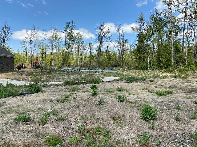 2nd image of 2035 Galahad Rd