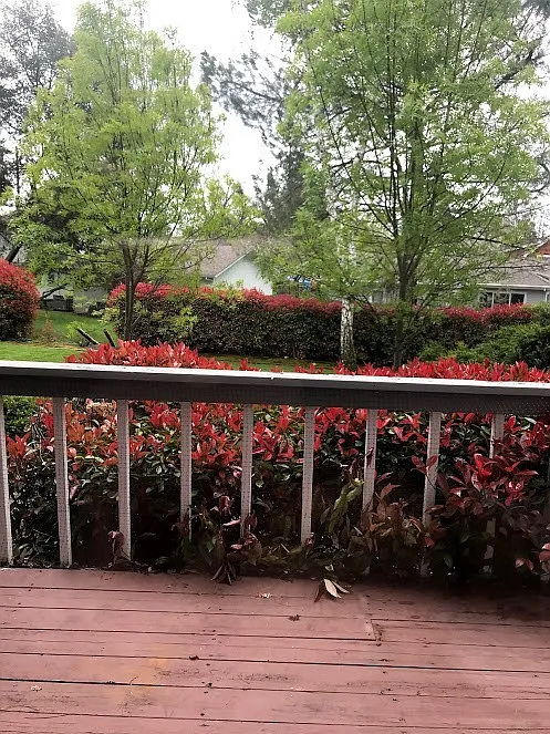 Spacious Jackson Townhome — Photo 2