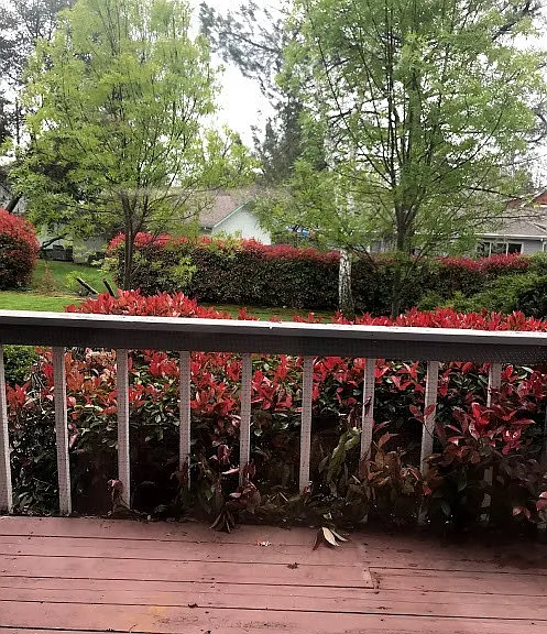 207C New York Ranch Rd — Photo 2