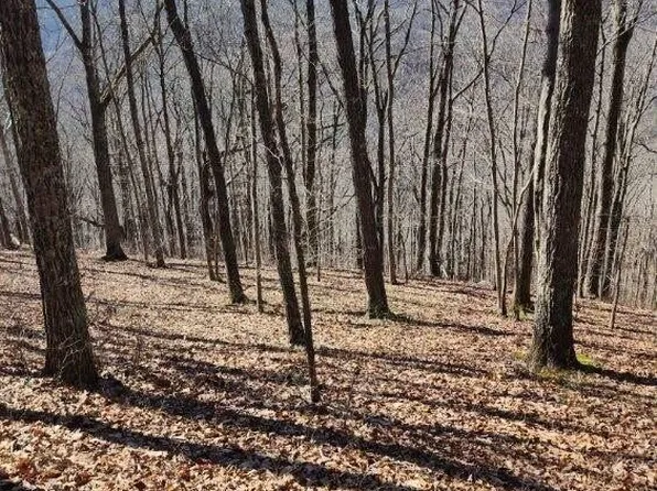 Racoon Ln, Pioneer, TN 37847