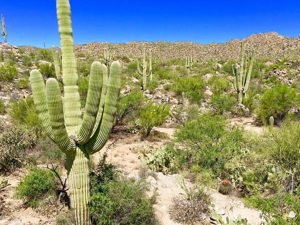 1337 W Tortolita Mountain Cir, Oro Valley, AZ 85755 Zillow