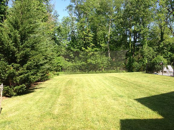 Huge net in the back of yard