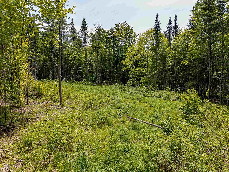 1st image of 40 Bear Paw Trail