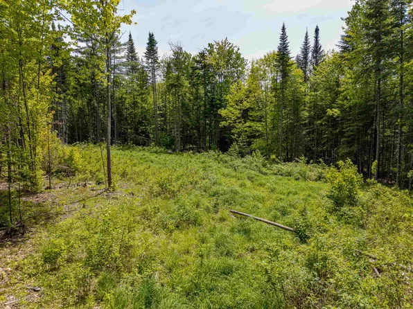 40 Bear Paw Trail, Littleton, NH 03561