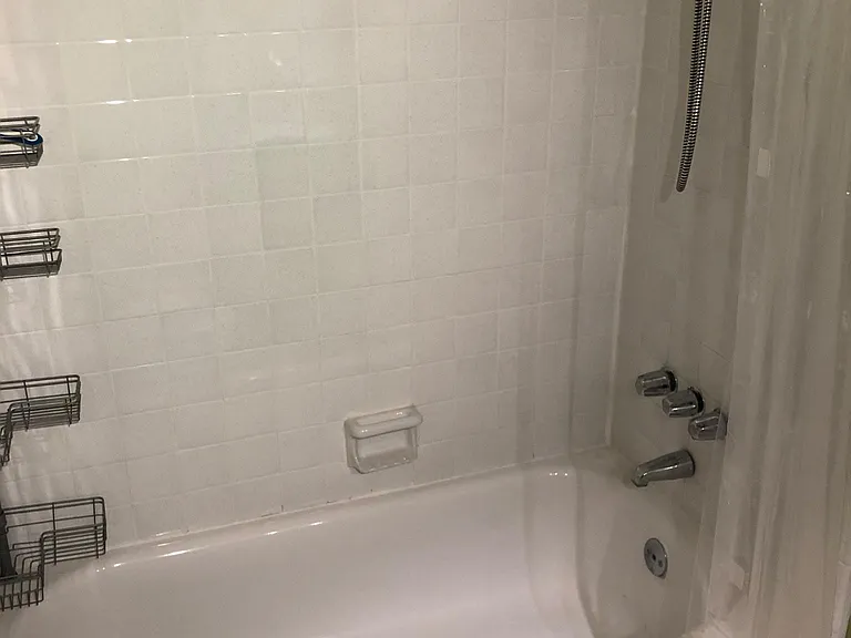 2040 Royal Fern Ct #21A — Photo 9
