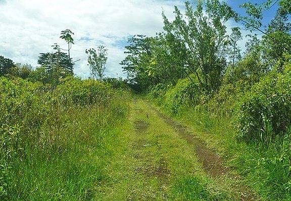 5th image of 15-1122 Kahakai Blvd Lot 24