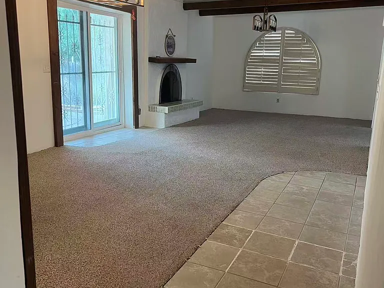 17740 S Placita Mayo — Photo 6