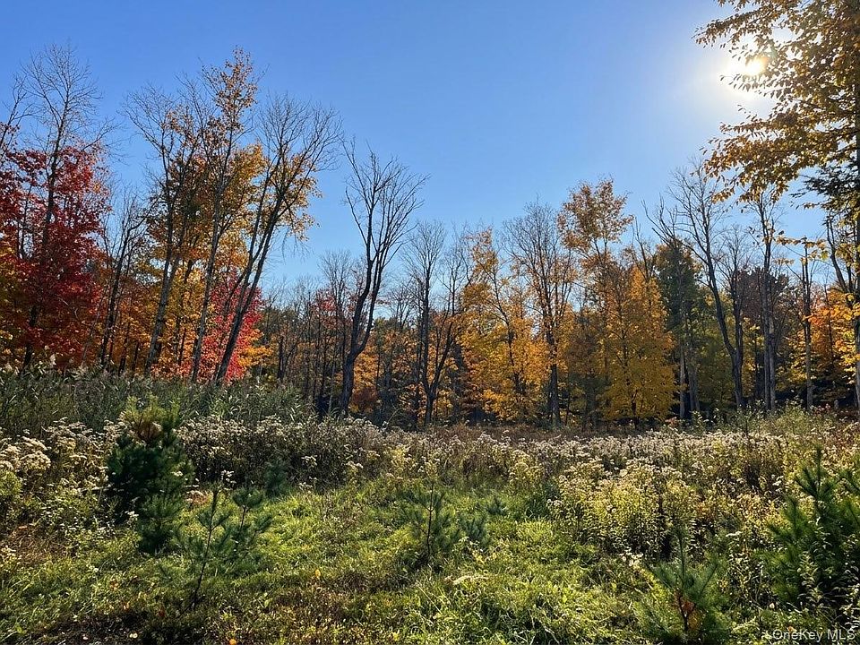 1st image of Painter Hill Road